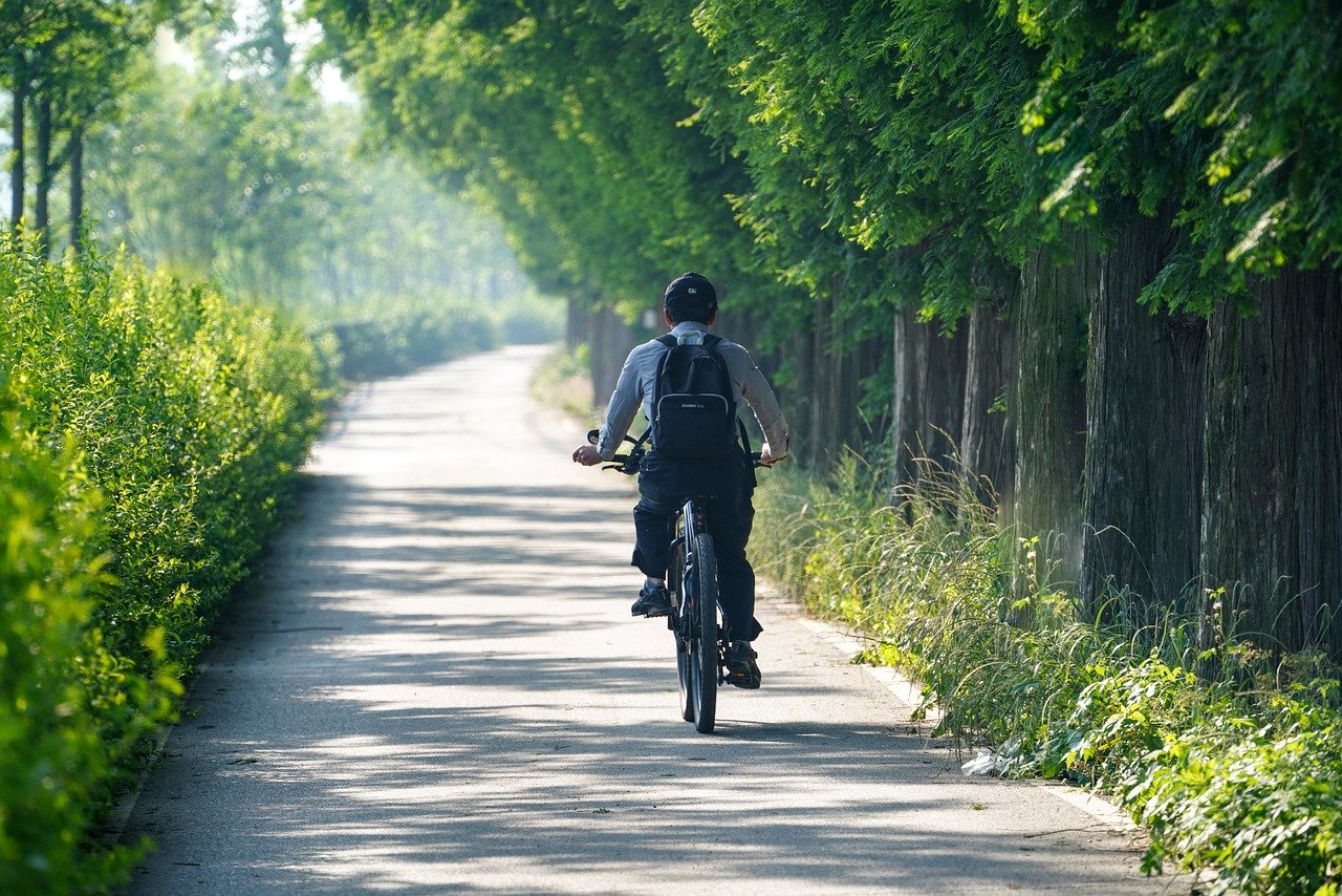 Nouveau ! Vélo adultes